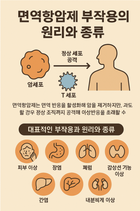 면역항암제의 부작용과 발생 원인