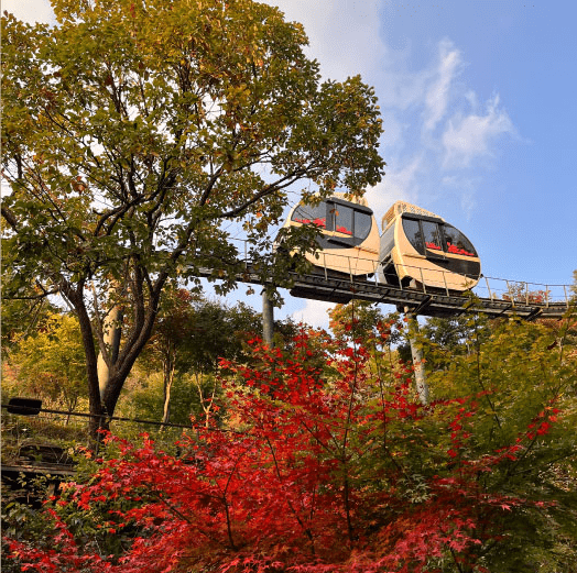 화담숲 홈페이지 예약 사진
