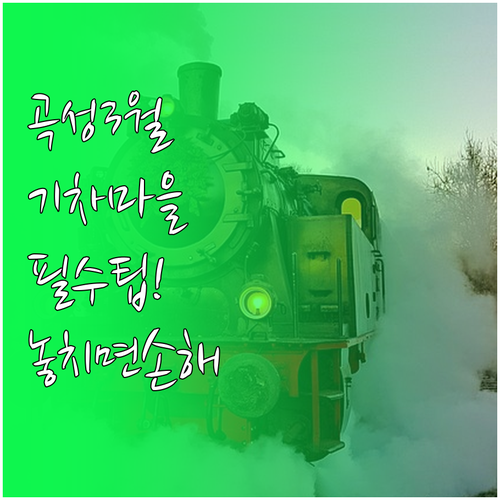 전남 곡성 3월 여행 필수 정보와 기..