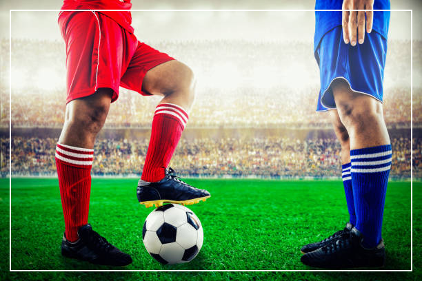 축구 국가대표 평가전