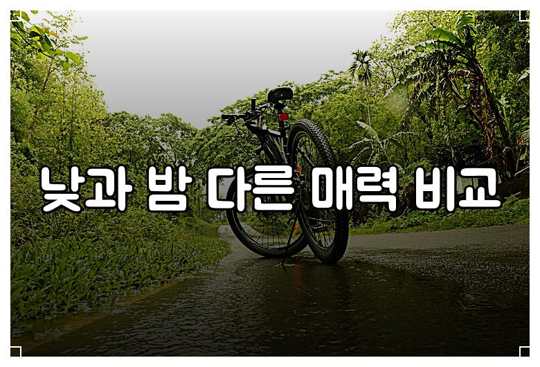 낮과 밤 다른 매력 비교