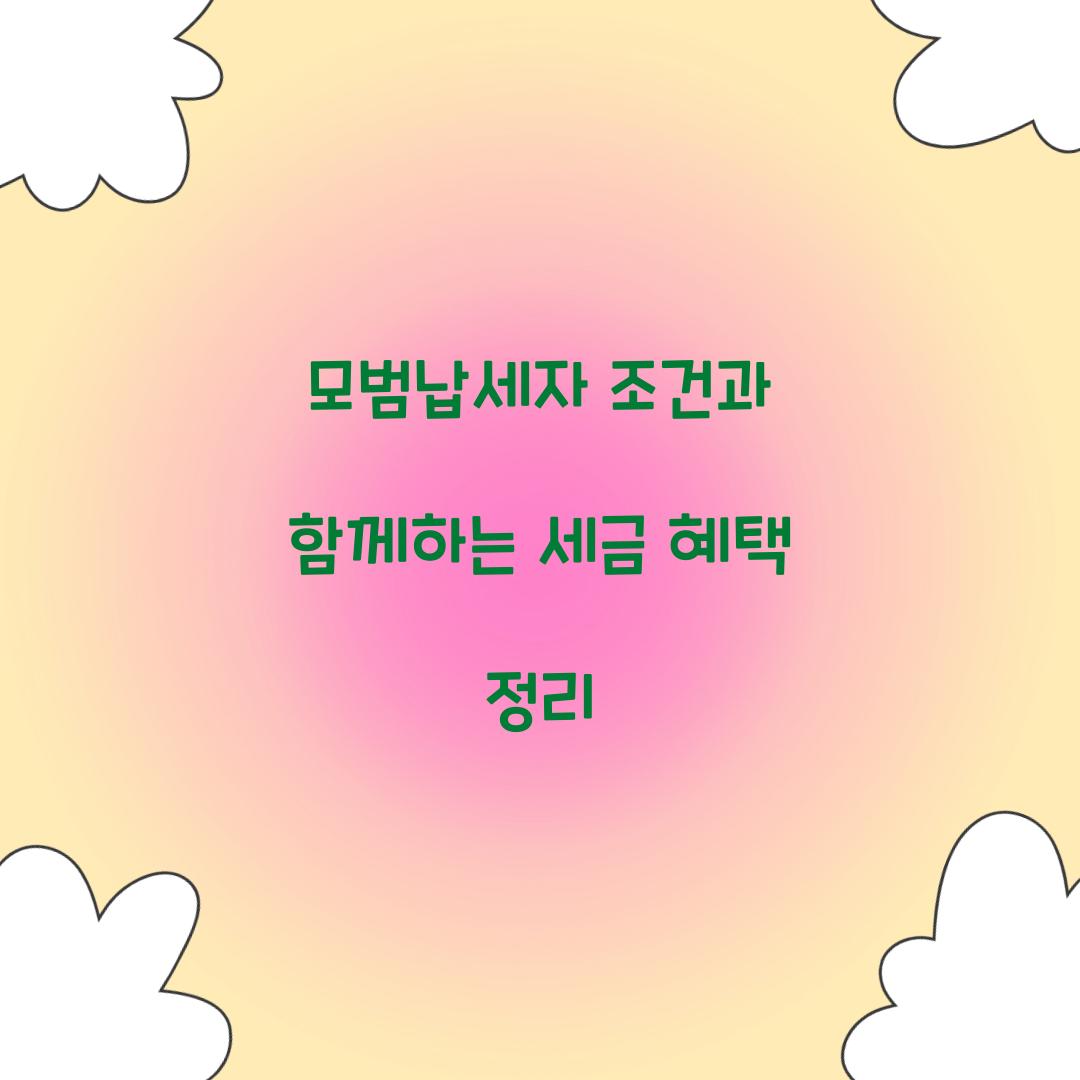 모범납세자 조건