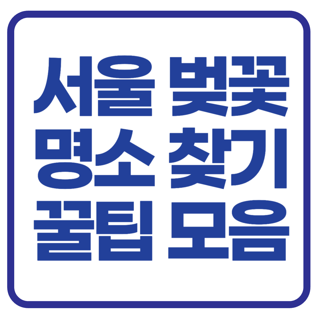 서울 근교 벚꽃 명소 찾는 법과 추천 루트 안내