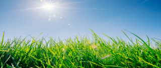 청년 내일저축계좌 자격조건