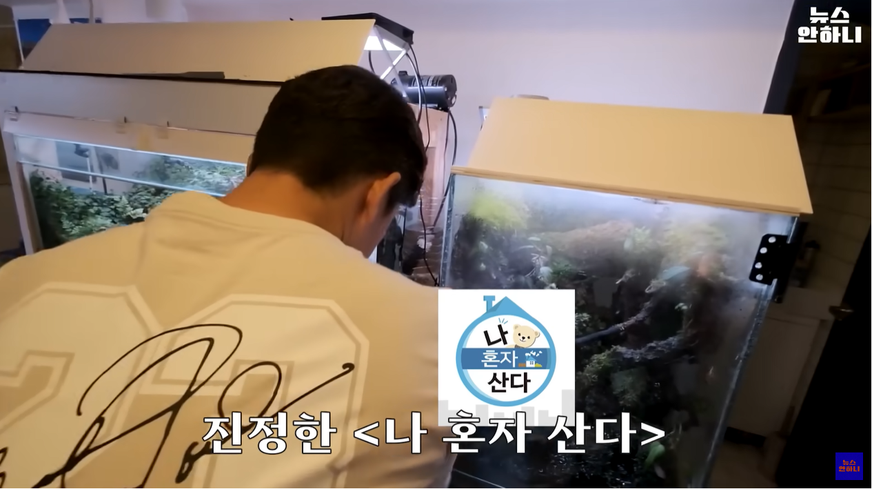 김대호 아나운서 집