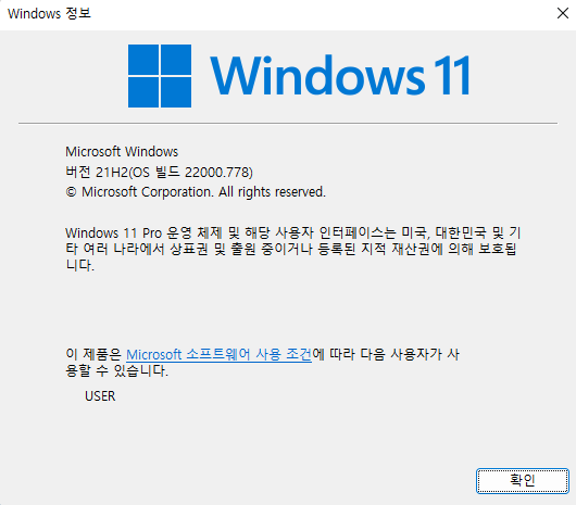 windows11 OS 설치 버전 확인