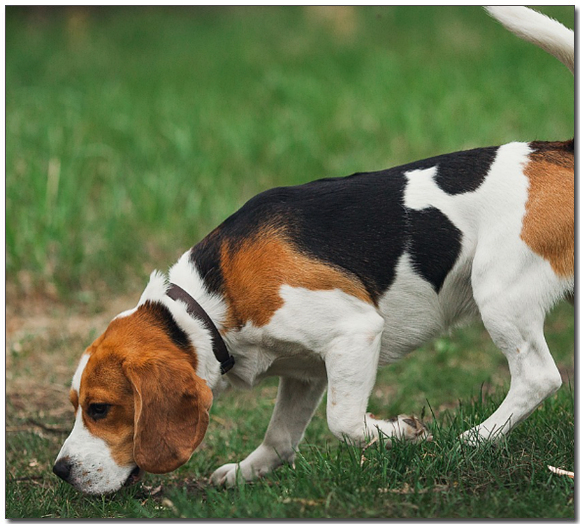 ๋์๋งก๋ ๋น๊ธ