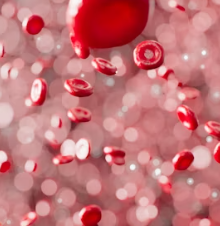 콜레스테롤 낮추는 방법 음식 과일