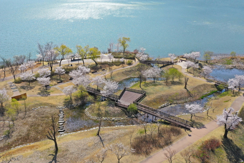 생태공원