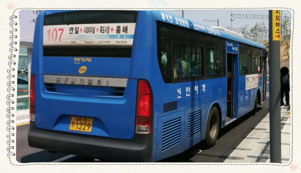 포항역에서 포항시외버스터미널로 이동하는 시내버스 노선 정보