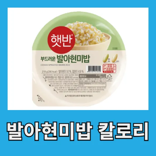 발아현미밥 칼로리