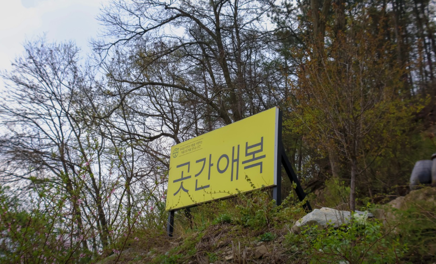 [6시 내고향] 순창 용궐산하늘길&amp;#44; 장승촌&amp;#44; 떡체험 예약 정보