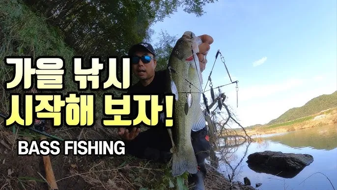 낚시 가을 시즌 추천 쭈꾸미 갑오징어 선상 채비 준비_4
