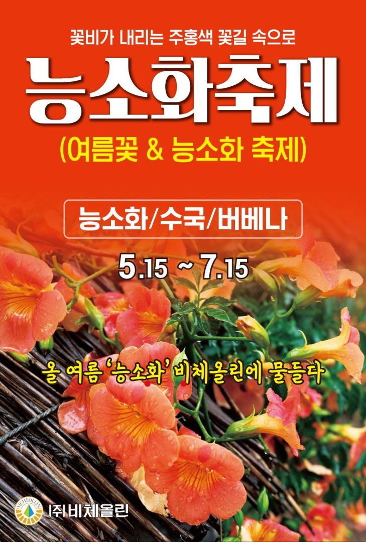 비체올린 능소화축제