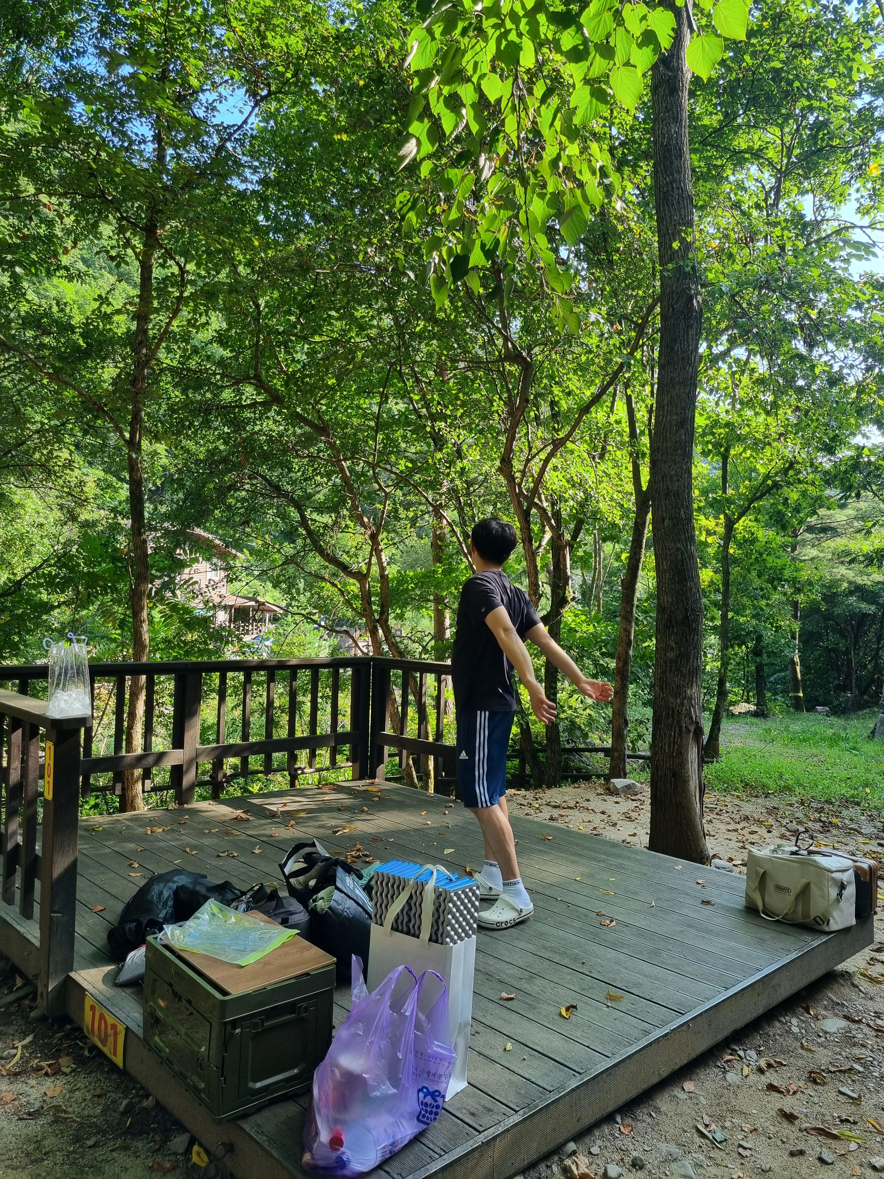 두타산자연휴양림 101번 데크