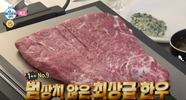 나혼자산다 이장우 불판 발뮤다 더 플레이트 프로 K10B-BK