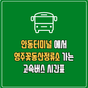 안동터미널에서 영주꽃동산정류소 고속버스 시간표 요금 예매