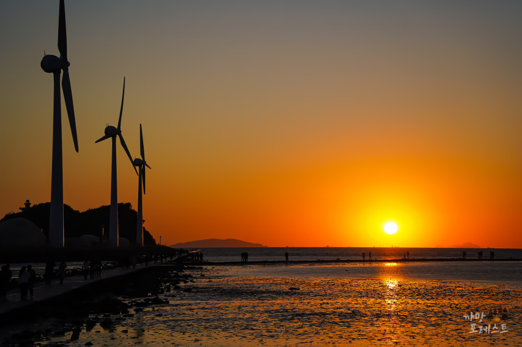 안산 탄도항 일몰