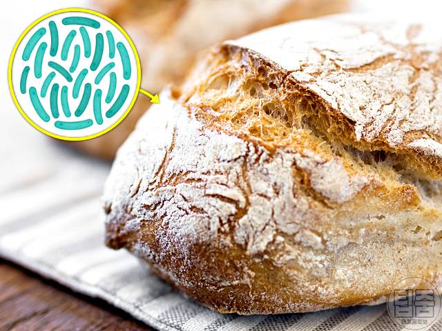 유산균 함량 많은 음식 발효빵 유산균추천