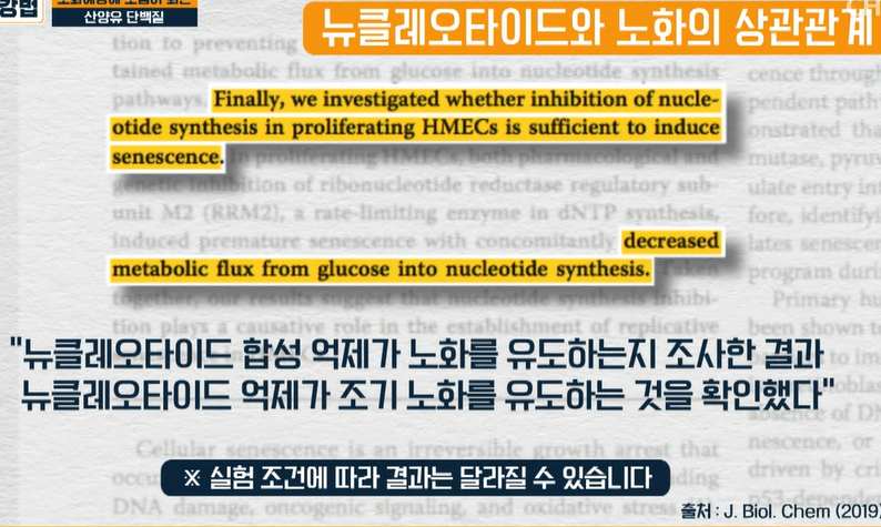 산양유 단백질 효능