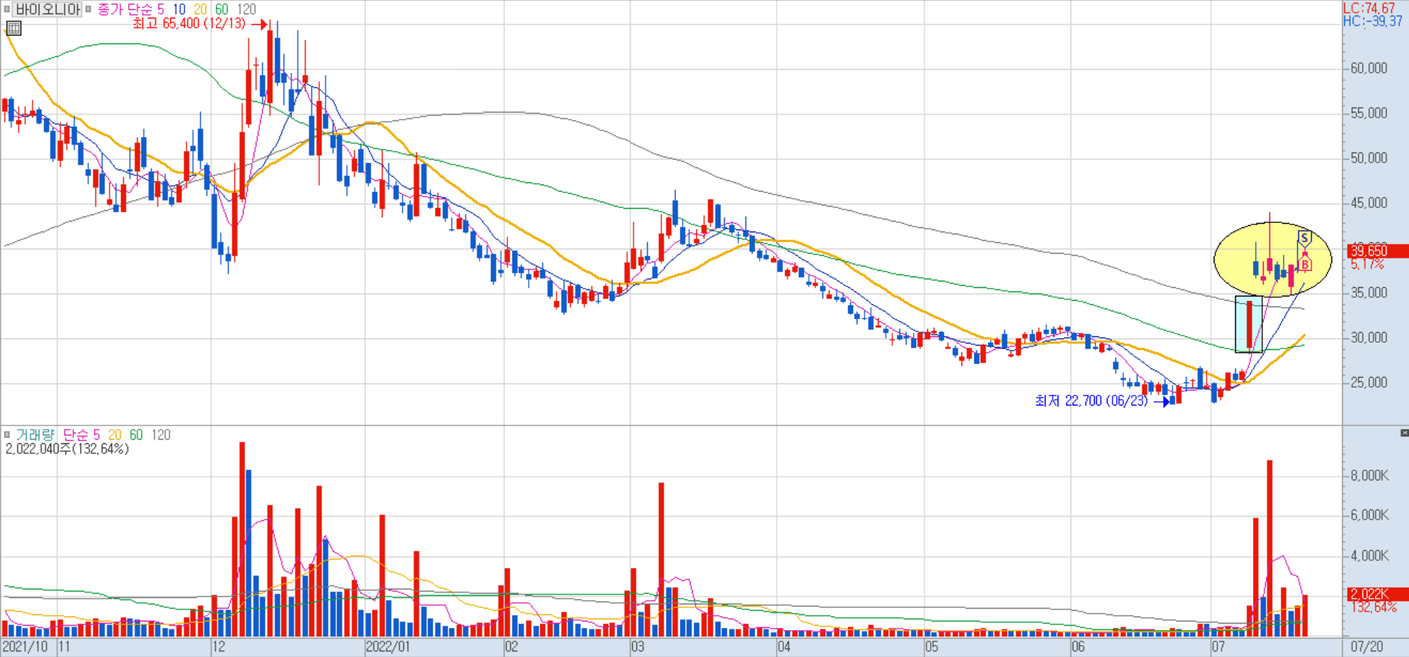 바이오니아 일봉 차트
