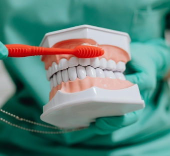 인사돌-이가탄-가격