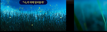 2024 무주 반딧불 축제: 일정, 프로그램, 예약 방법 및 꿀팁