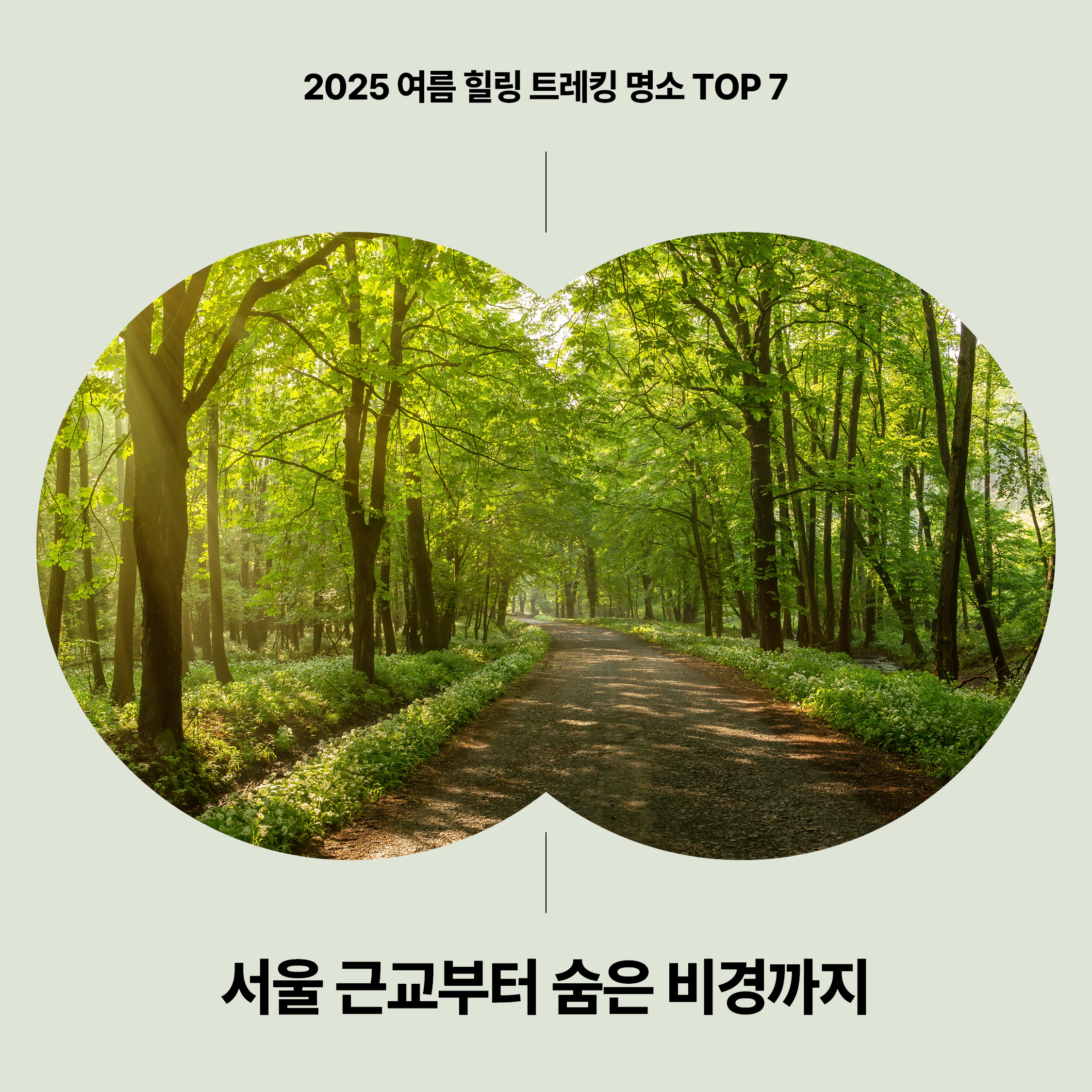 2025 여름 힐링 트레킹 명소 TOP 7 대표 이미지|푸른 숲길과 서울 근교 비경을 담은 트레킹 안내 썸네일