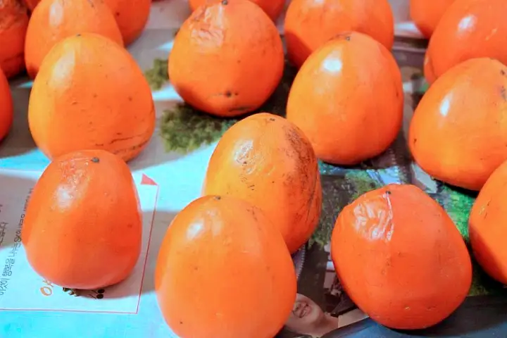 6시내고향 전남 영암 대봉감 감말랭이 곶감 감 파는 곳 전국 택배 온라인 전화 주문 추천