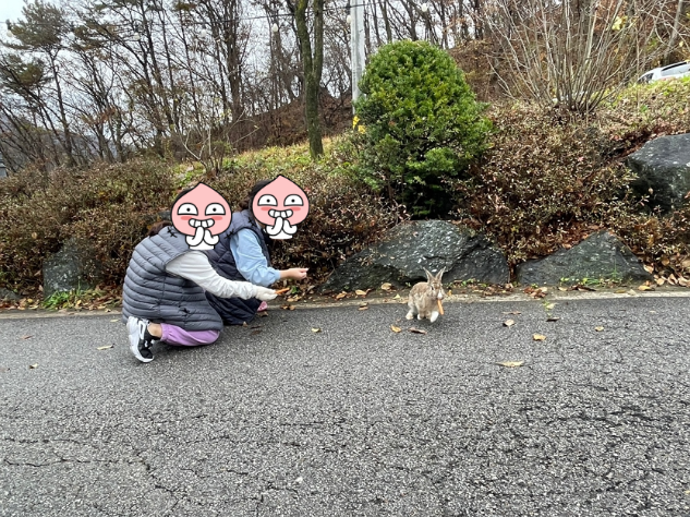 파주 동화힐링캠핑장 카라반 글램핑