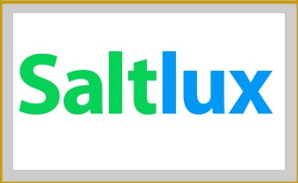 솔트룩스 기업 이미지