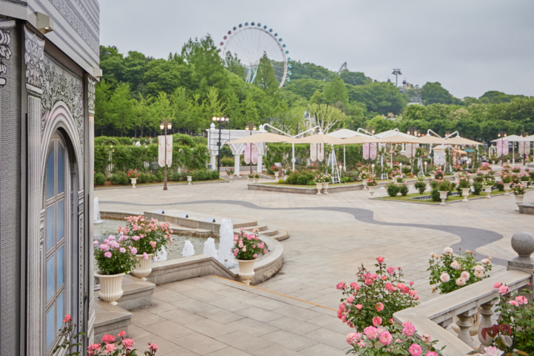 에버랜드 로로티 장미축제