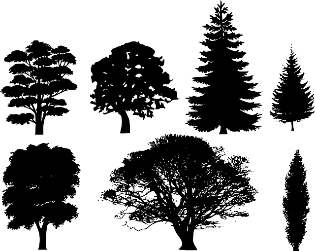 촉탁직 뜻과 개념&amp;#44; 구직신청 총정리