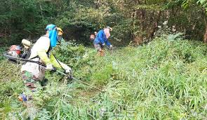 벌초대행 가격비교