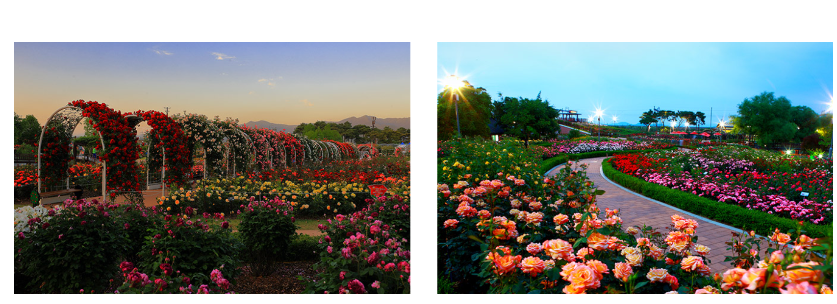 전라도 5월 축제