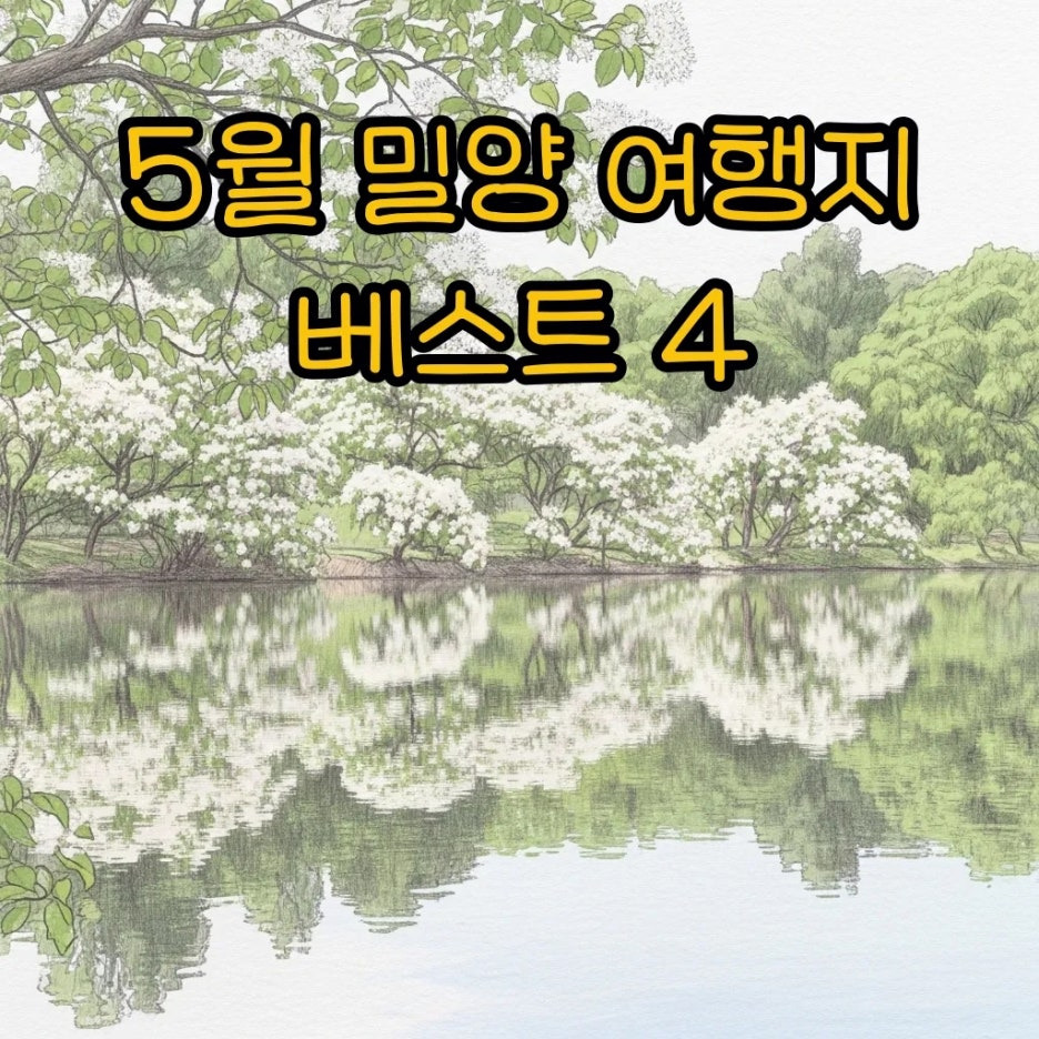 하얀 꽃이 만개한 위양지의 평화로운 풍경