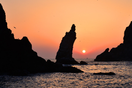 울릉도-배편-예약