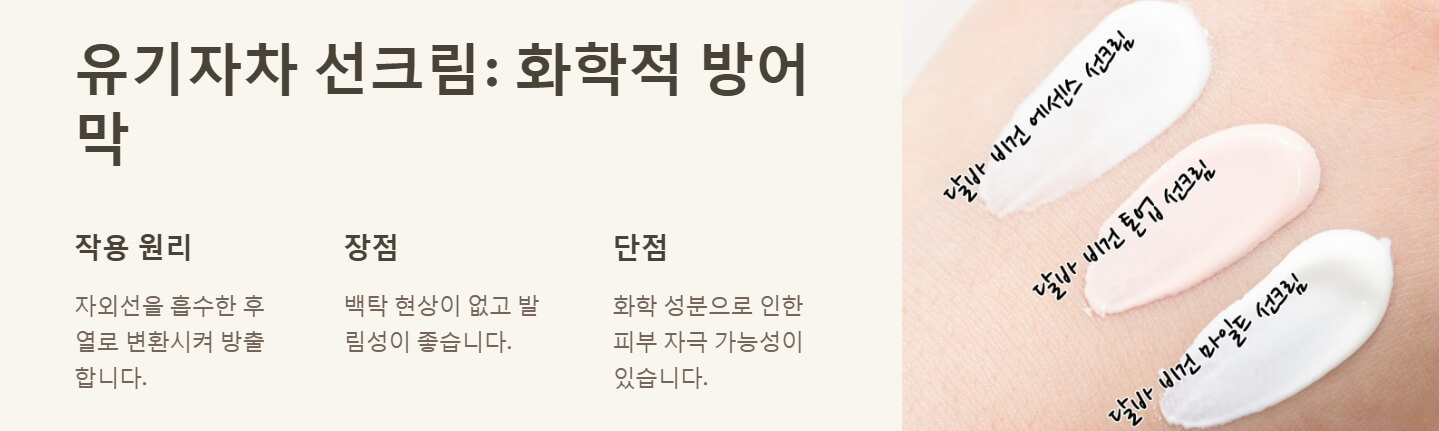 선크림 무기자차 유기자차 차이 바르는 순서