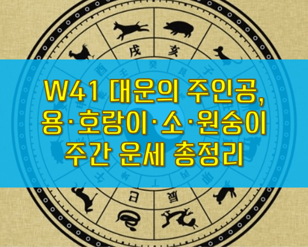 W41 주간운세