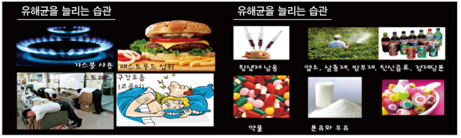 유해요소 원인들