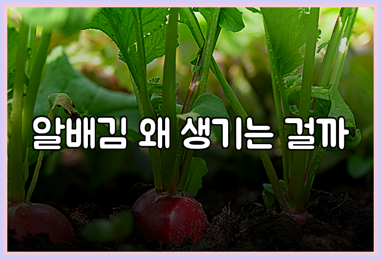 알배김 왜 생기는 걸까
