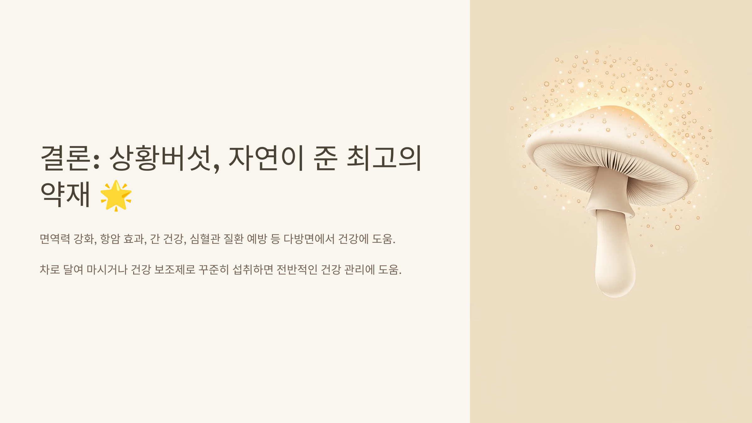 상황버섯 사진입니다.