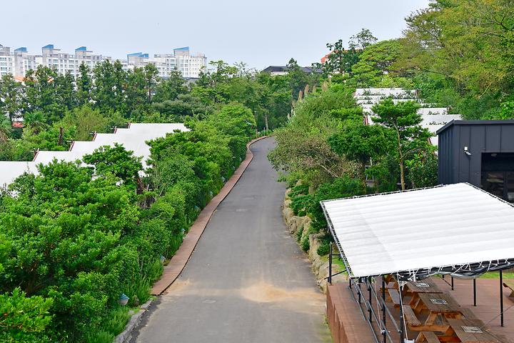 제주도 한라산국립공원 관음사지구 야영장