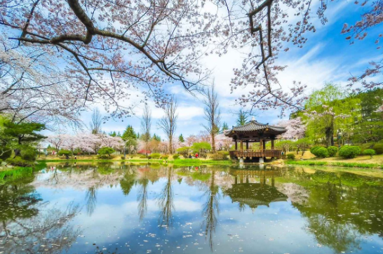 경주