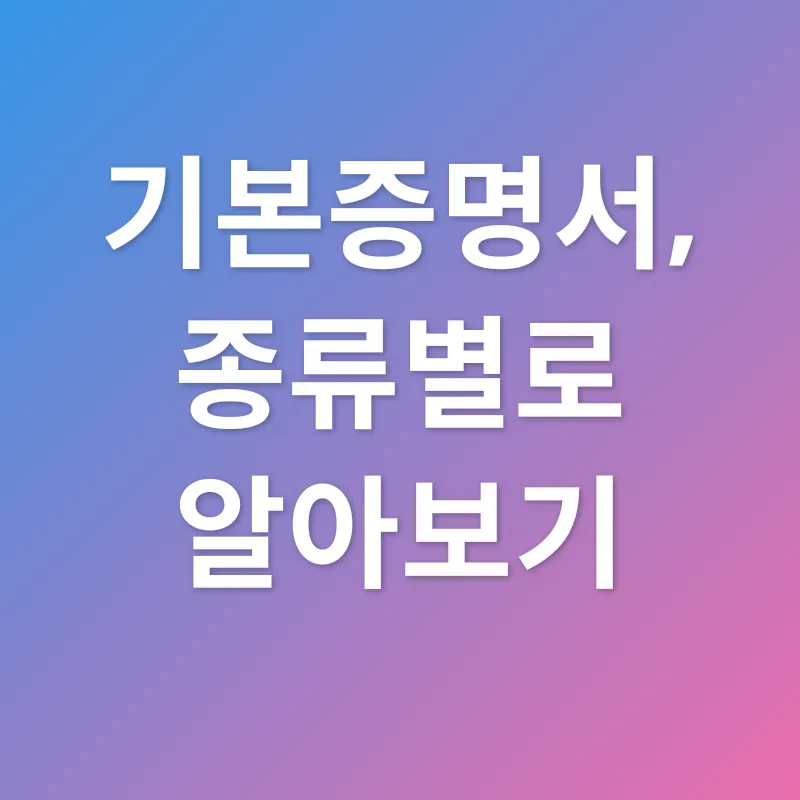 기본증명서_2