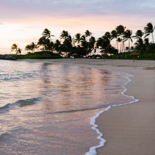 하와이 4박5일 여행 추천 &ndash; 와이키키 중심 일정