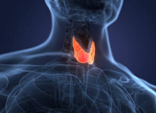 코골이 하는 이유