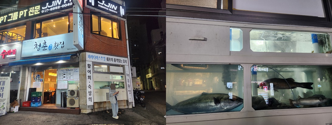 대연동청춘횟집