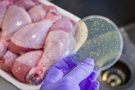 식중독 피해야 하는 음식