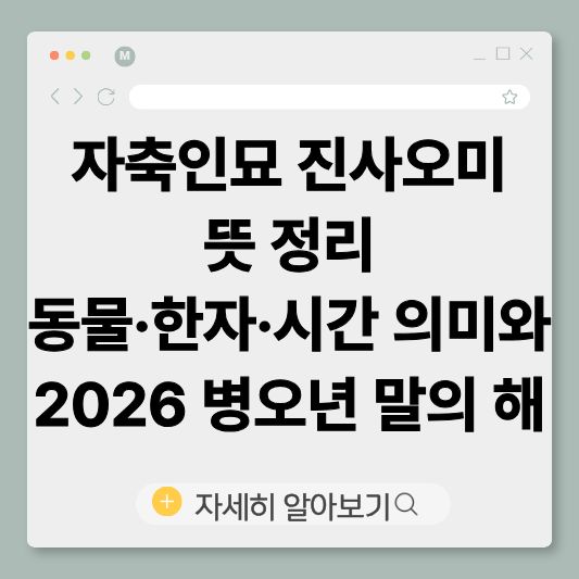 자축인묘
진사오미
신유술해
12지지
십이지
병오년
말의해
띠의의미
한자뜻
사주기초